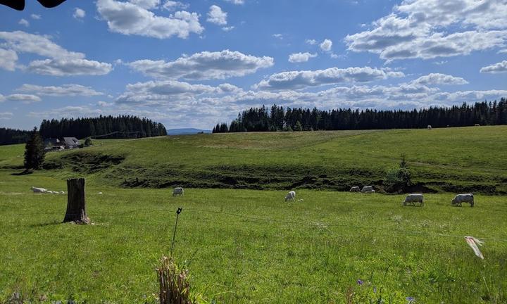 Gasthof Zum Hirschen